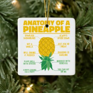 Ornement En Céramique Anatomie D'Un Ananas Drôle Amateurs D'Ananas Cool