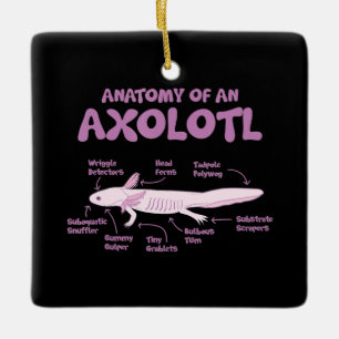 Ornement En Céramique anatomie d'un axolotl axolotls biologie science.