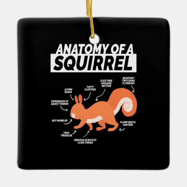 Ornement En Céramique Anatomie D'Un Écureuil (Devant)