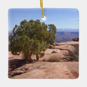 Ornement En Céramique Arbre hors des rochers rouges II à Canyonlands