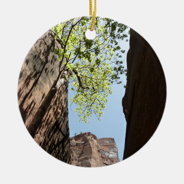 Ornement En Céramique Arbre qui pousse entre les rochers dans le parc na (Devant)