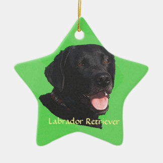 Ornement En Céramique Art de labrador retriever