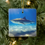 Ornement En Céramique Baignade de requins Eau bleu de l'océan<br><div class="desc">Baignade de requin Eau de l'océan bleu C'est une créature majestueuse de la mer bleue profonde. Le requin gris nage avec la nageoire pointue et blanc sous le ventre. Parfait pour les amateurs de requins dans votre vie.</div>
