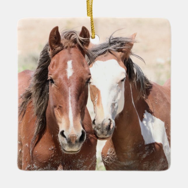 Ornement En Céramique Bassin de lavage de sable Chevaux sauvages Ornemen (Devant)