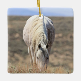 Ornement En Céramique Bassin de lavage de sable Chevaux sauvages Ornemen