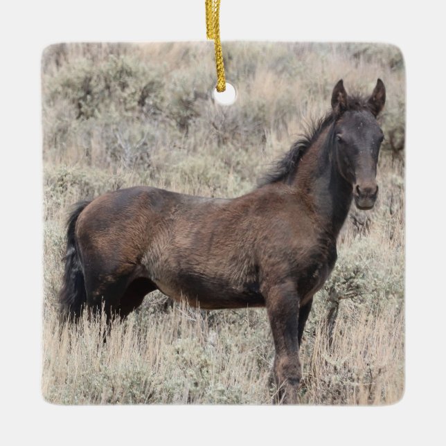 Ornement En Céramique Bassin de lavage de sable Chevaux sauvages Ornemen (Devant)