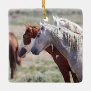 Ornement En Céramique Bassin de lavage de sable Chevaux sauvages Ornemen