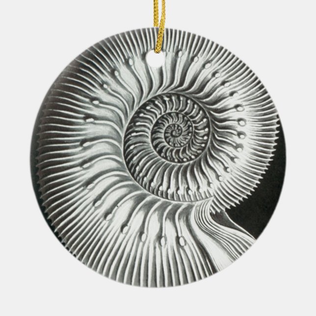 Ornement En Céramique Beau gros plan en ammonite design (Devant)