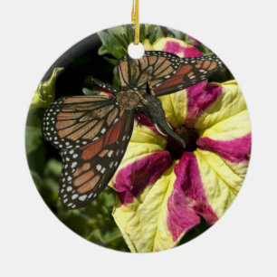 Ornement En Céramique Beautiful Elephant Butterfly
