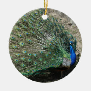 Ornement En Céramique Beautiful Peacock