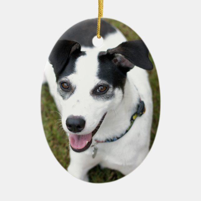 Ornement En Céramique Bella le chien de délivrance (Devant)