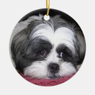 Ornement En Céramique Belle le chien de Shih Tzu