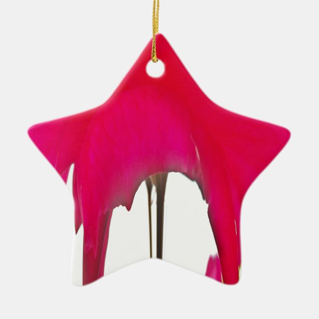 Ornement En Céramique Belle rose rouge extraordinaire sous le ciel blanc (Devant)