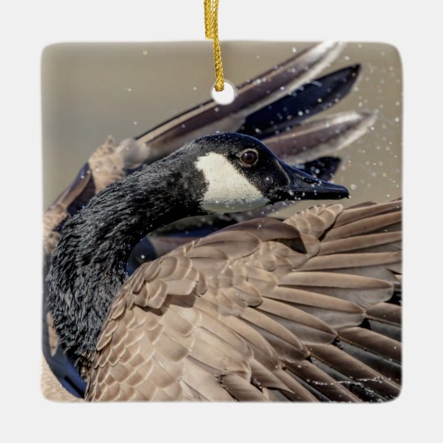 Ornement En Céramique Bernache du Canada (Devant)