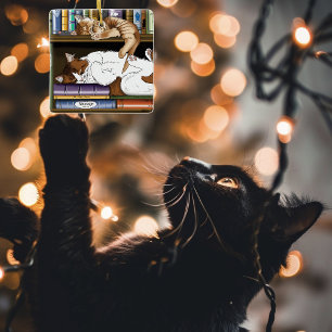 Ornement En Céramique Bibliothèque de chats de plateau de livres