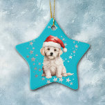 Ornement En Céramique Bichon Frise Chien Argent Étoiles Bleu Noël<br><div class="desc">Un adorable chien Bichon Frise porte un chapeau de Père Noël rouge et blanc et se trouve au milieu d'une tourbée d'étoiles d'argent sur le devant de cet ornement de Fêtes. L'image est placée sur un arrière - plan bleu turquoise. L'arrière de l'ornement a le même arrière - plan étoile...</div>