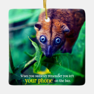 Ornement En Céramique Big Eyed Possum