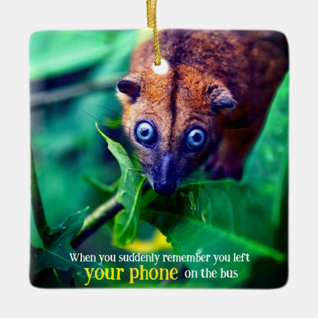 Ornement En Céramique Big Eyed Possum (Devant)