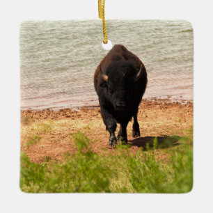 Ornement En Céramique Bison au bord de l'eau