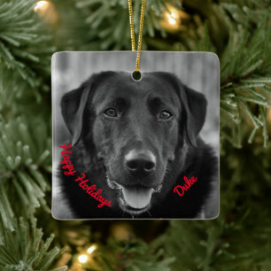 Ornement En Céramique Black Labrador Photo Pet Dog Ceramic
