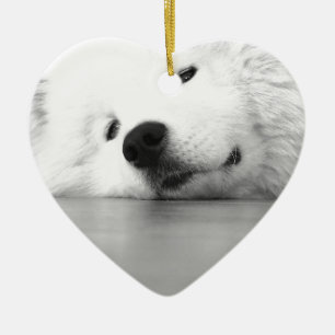 Ornement En Céramique Blanc de chien de photo de Samoyed