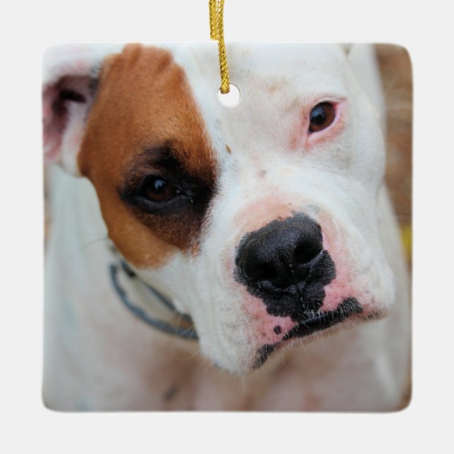 Ornement En Céramique Boucle (Devant)