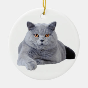 Ornement En Céramique British shorthair