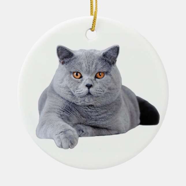 Ornement En Céramique British shorthair (Devant)