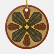 Bronze et cuivre Calymene Niagarensis trilobites