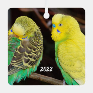 Ornement en céramique Budgie Parakeet anglais