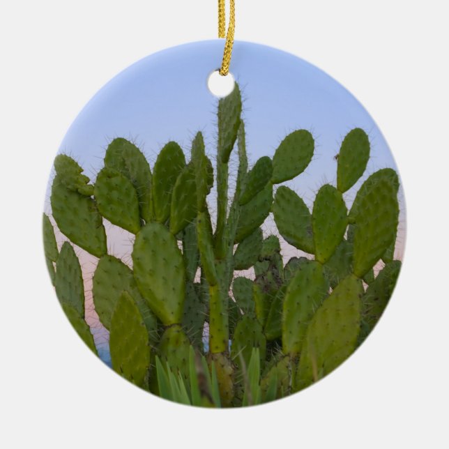 Ornement En Céramique Cactus et sisal en forêt sèche (Devant)