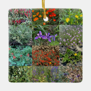 Ornement En Céramique California Native Colours 2020