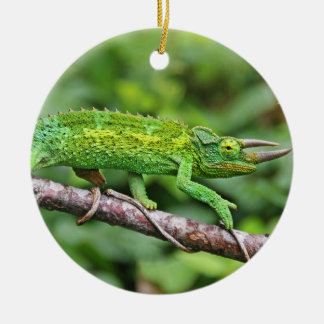 Ornement En Céramique Caméléon de Jacksons