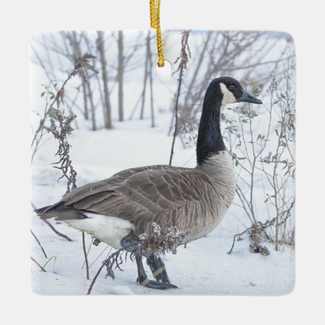 Ornement En Céramique Canada Goose in Snow Ornament (Devant)