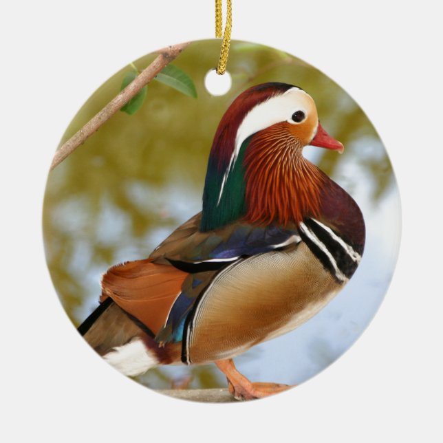 Ornement En Céramique Canard mandarin (Devant)
