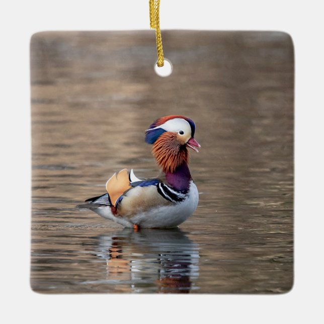 Ornement En Céramique Canard mandarin (Devant)
