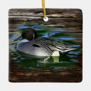 Ornement En Céramique Canard Sur Le Lac