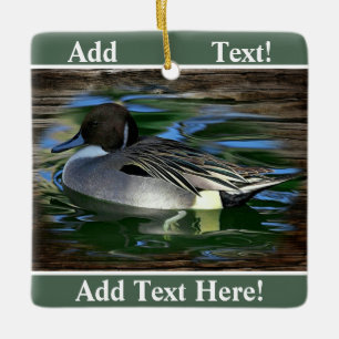Ornement En Céramique Canard Sur L'Ornement En Céramique Du Lac