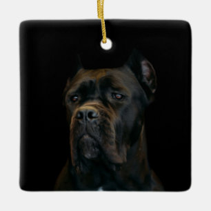 Ornement En Céramique Canne Corso - mastiff italien