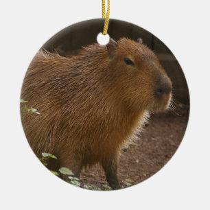 Ornement En Céramique Capybara