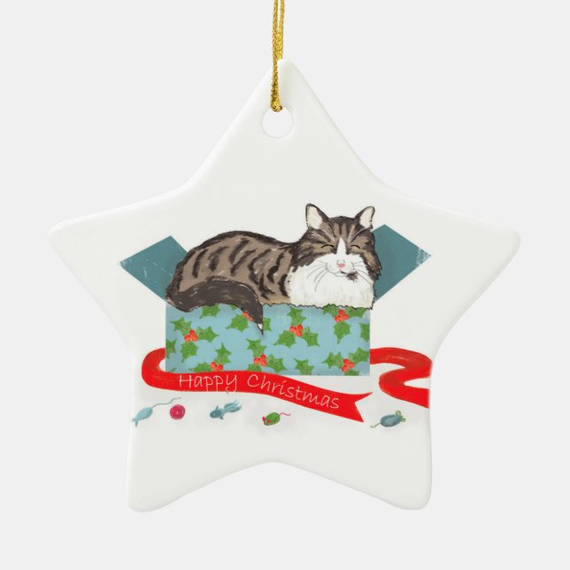 Ornement En Céramique Cat in a box personalised Christmas tree ornament (Devant)