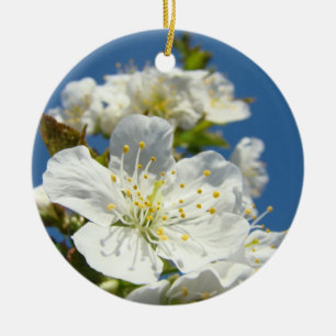 Ornement En Céramique Cerisiers en fleurs au printemps Ciel bleu blanc p