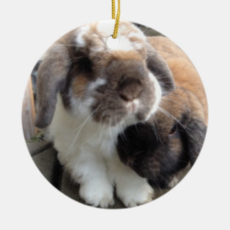 Ornement En Céramique Ces deux apporteront beaucoup de furriness à votre