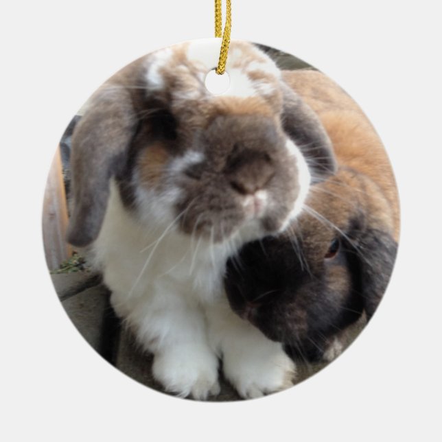 Ornement En Céramique Ces deux apporteront beaucoup de furriness à votre (Devant)