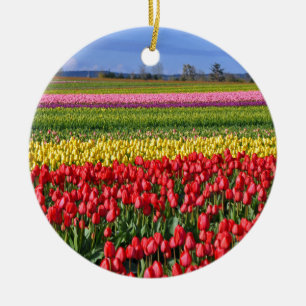 Ornement En Céramique Champ de tulipe coloré