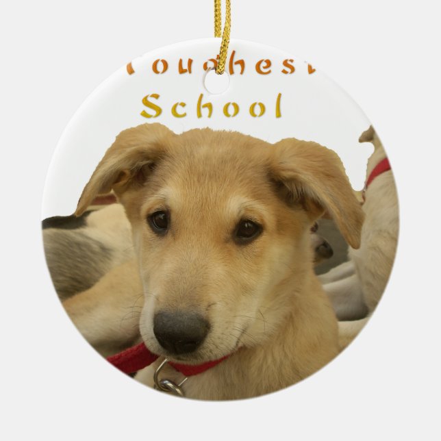 Ornement En Céramique Chaque chien a iTS DAY Hakuna Matata Joyeux jours  (Devant)