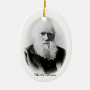 Ornement En Céramique Charles Darwin Vignette