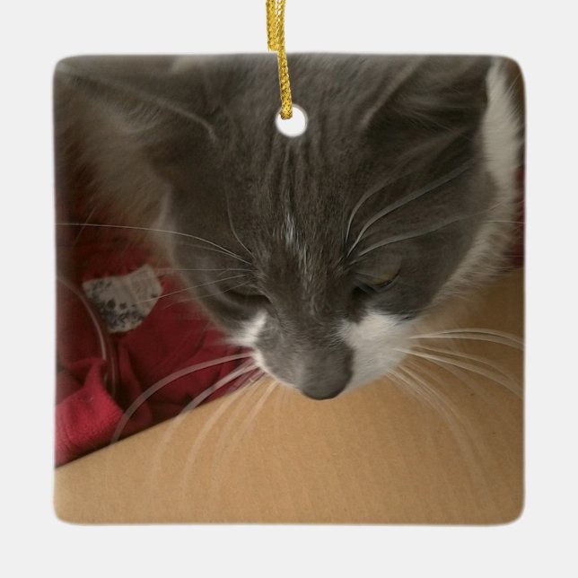 Ornement En Céramique Chat dans la boîte (Devant)