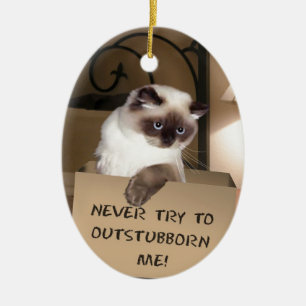 Ornement En Céramique Chat dans la boîte de l'Himalaya