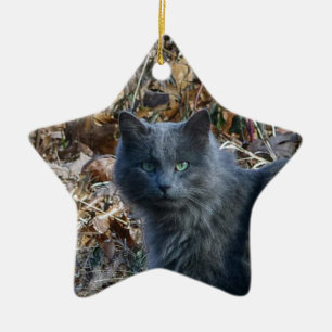 Ornement En Céramique Chat dans les bois